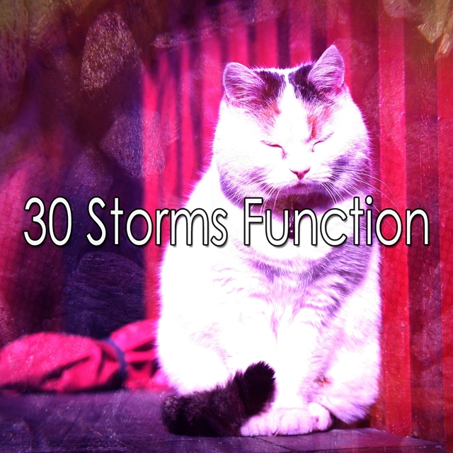 Couverture de 30 Storms Function