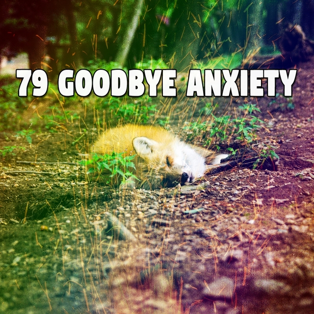 79 Goodbye Anxiety