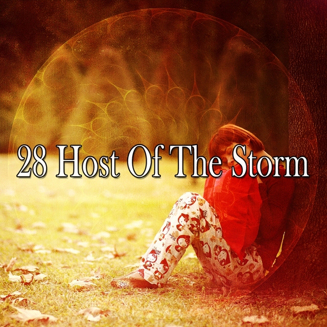 Couverture de 28 Host of the Storm