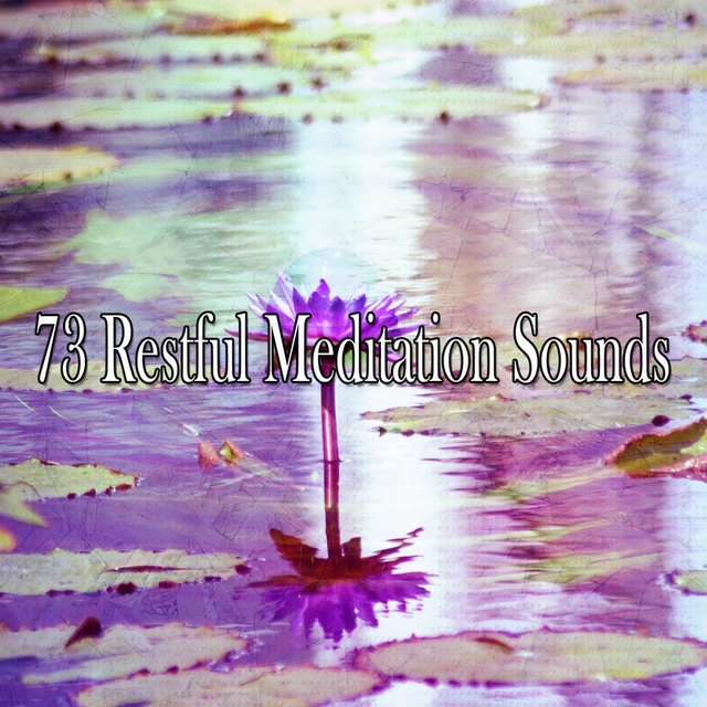 Couverture de 73 Restful Meditation Sounds