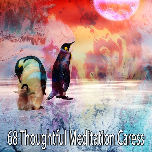 Couverture de 68 Thoughtful Meditation Caress