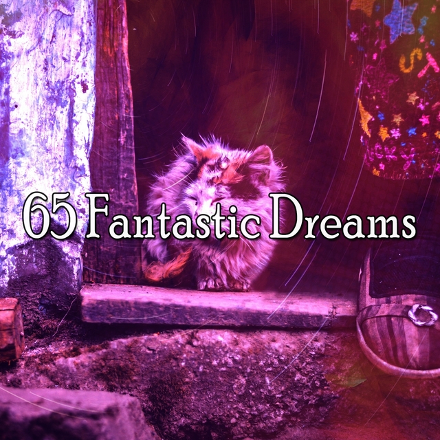 Couverture de 65 Fantastic Dreams