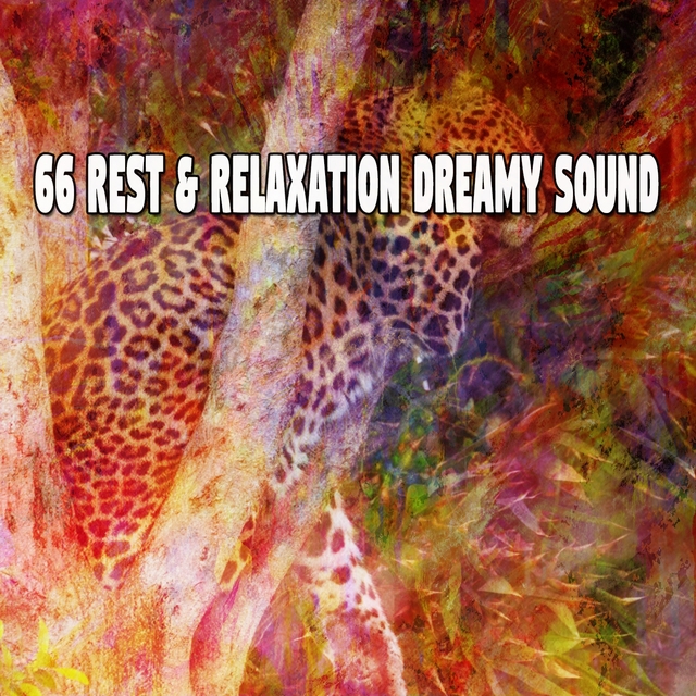 66 Rest & Relaxation Dreamy Sound