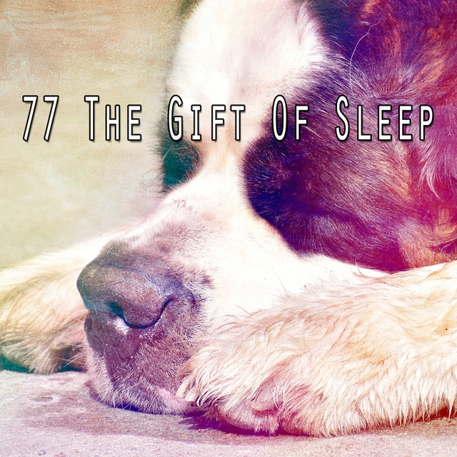 Couverture de 77 The Gift of Sleep