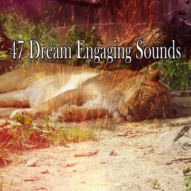 Couverture de 47 Dream Engaging Sounds