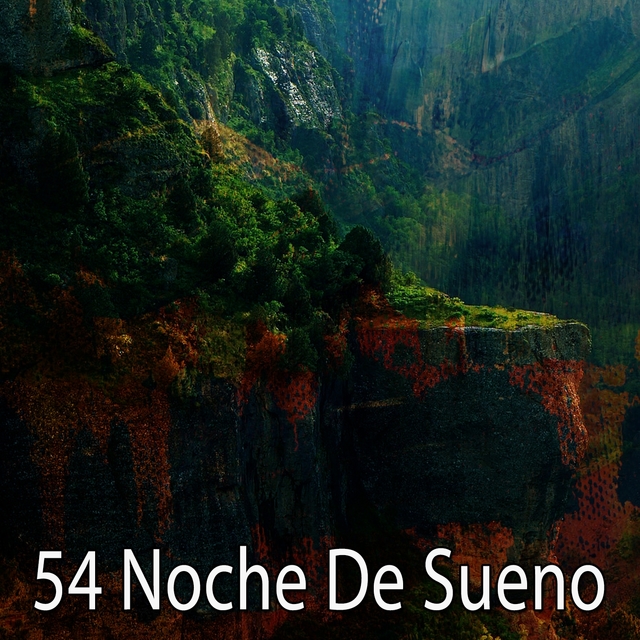 Couverture de 54 Noche De Sueno