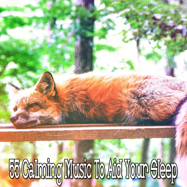 55 Calming Music to Aid Your Sleep