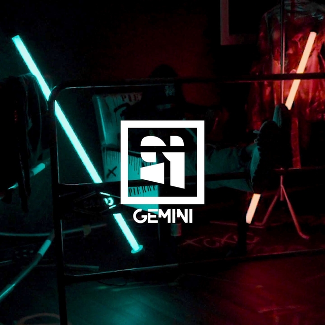 Couverture de Gemini