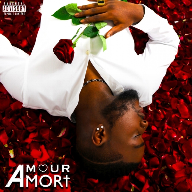 Couverture de Amour à mort