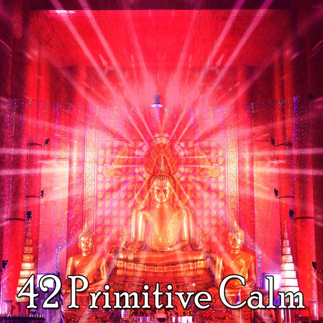 42 Primitive Calm