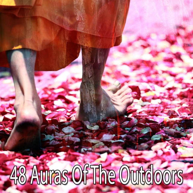 48 Auras of the Outdoors