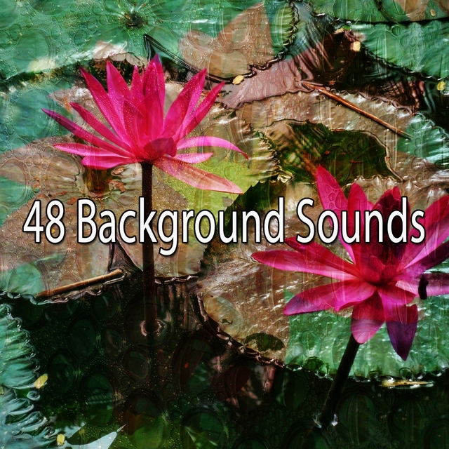 48 Background Sounds