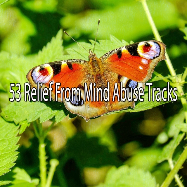 53 Relief from Mind Abuse Tracks