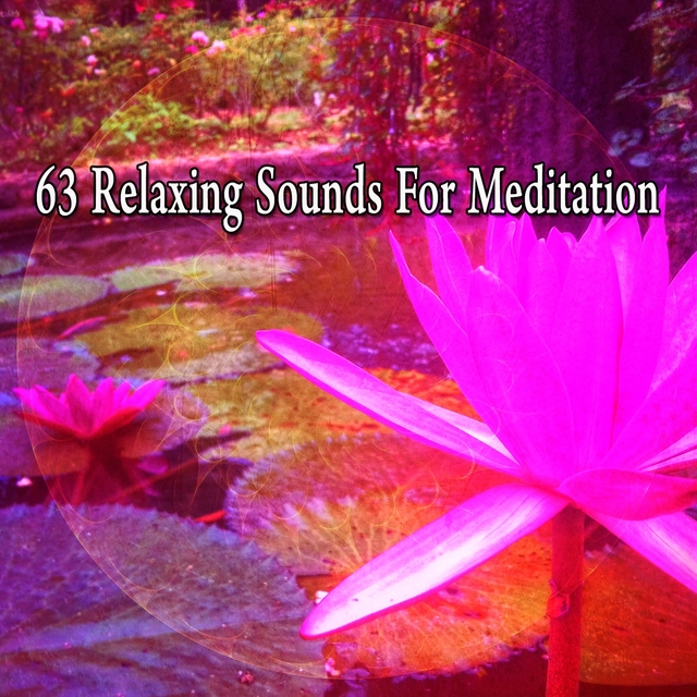 Couverture de 63 Relaxing Sounds for Meditation