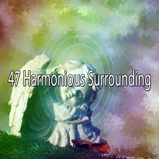 Couverture de 47 Harmonious Surrounding