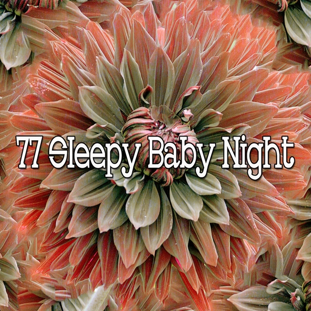 77 Sleepy Baby Night