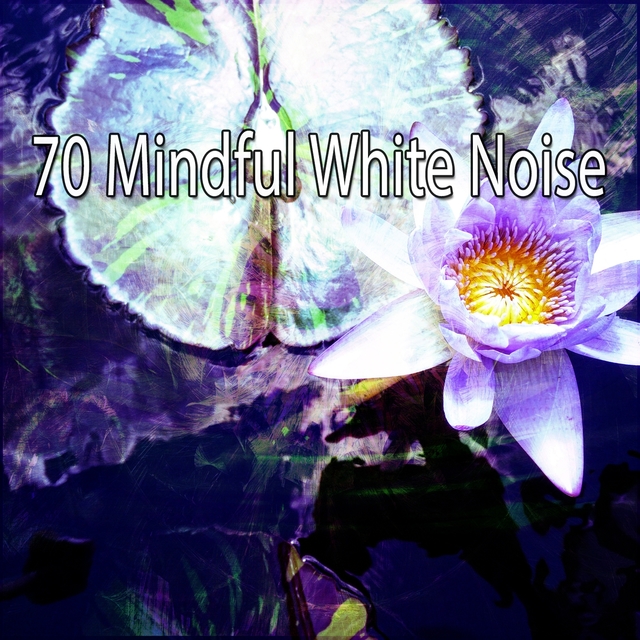 Couverture de 70 Mindful White Noise