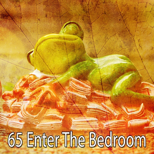 Couverture de 65 Enter the Bedroom