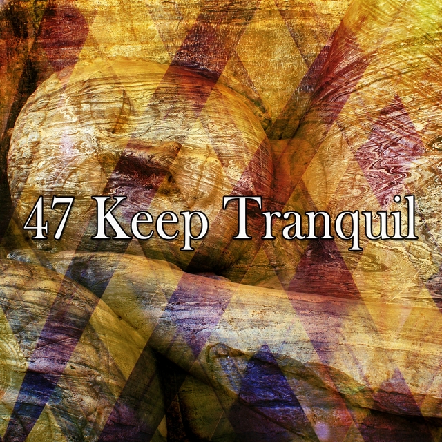 Couverture de 47 Keep Tranquil