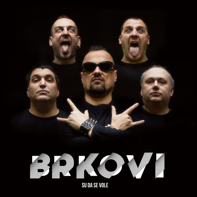 Couverture de Brkovi su da se vole