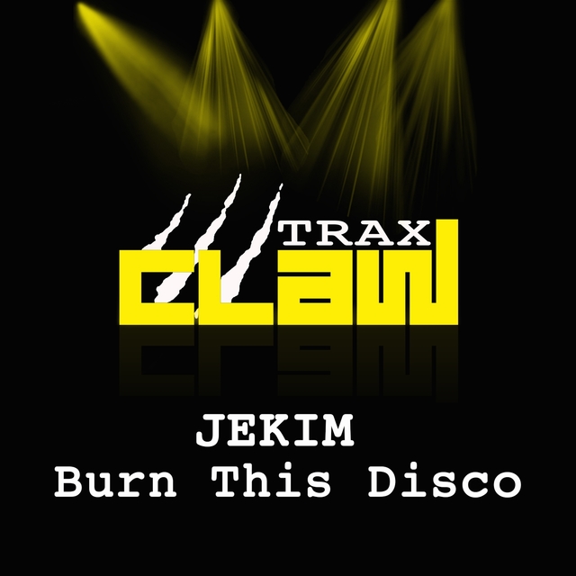 Couverture de Burn This Disco