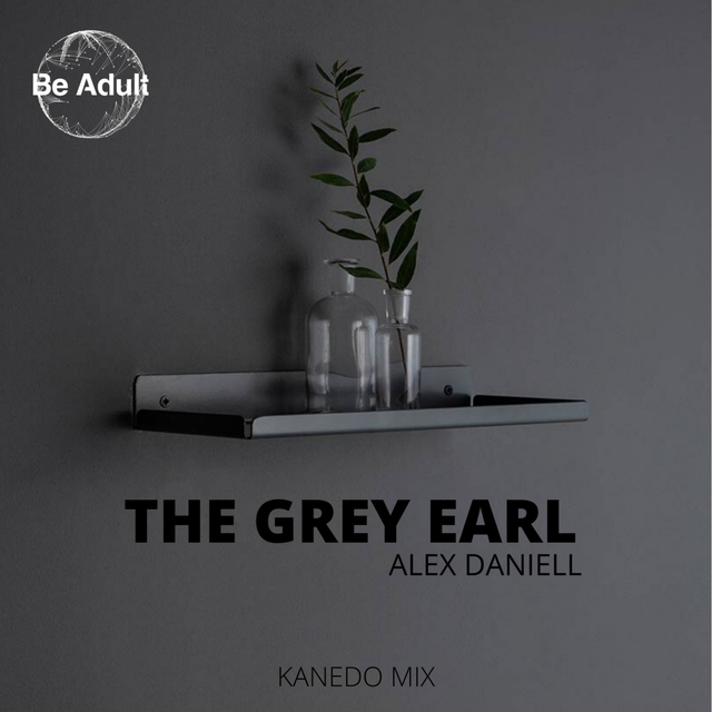 Couverture de The Grey Earl