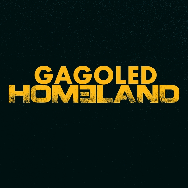 Couverture de Homeland