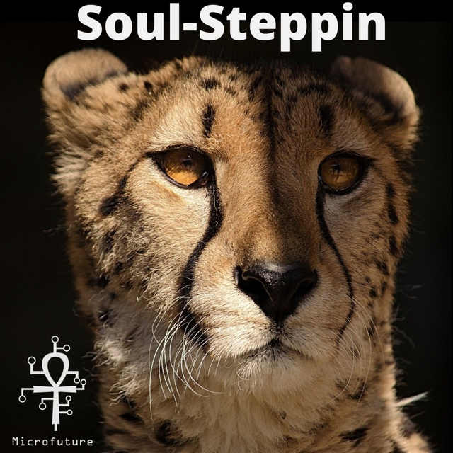 Couverture de Soul-Steppin