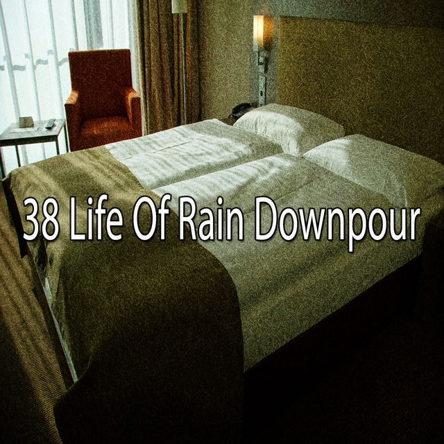 38 Life of Rain Downpour