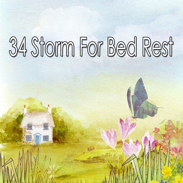 34 Storm for Bed Rest