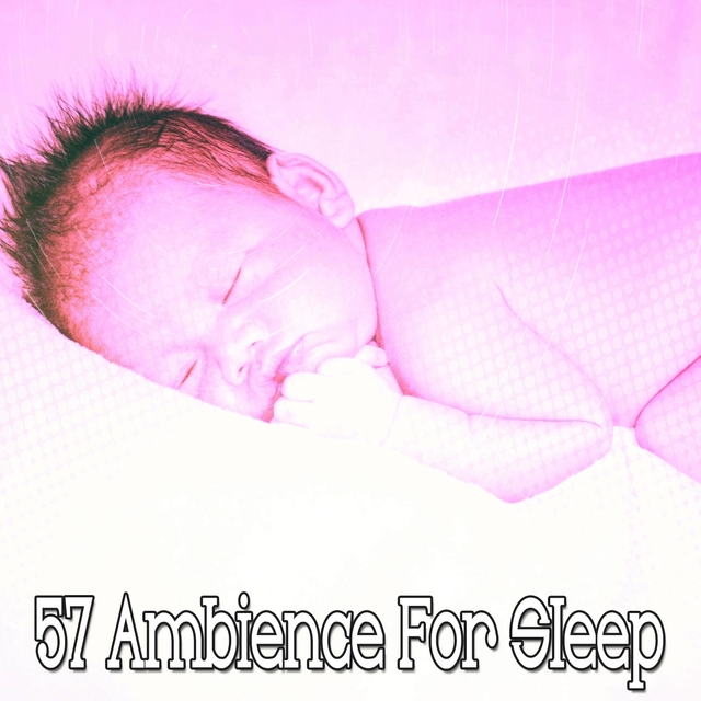 Couverture de 57 Ambience for Sleep