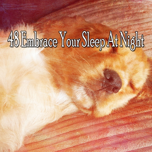 48 Embrace Your Sleep at Night