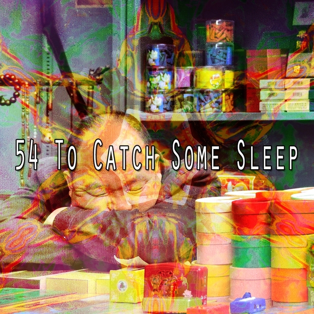 54 To Catch Some Sleep