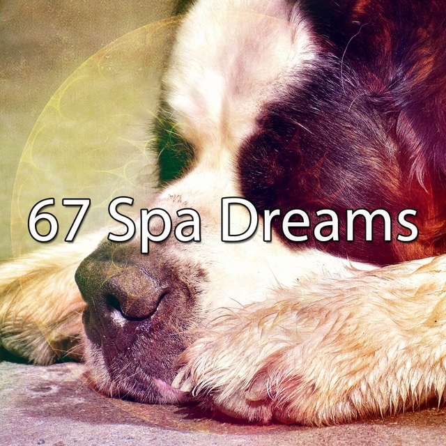 Couverture de 67 Spa Dreams