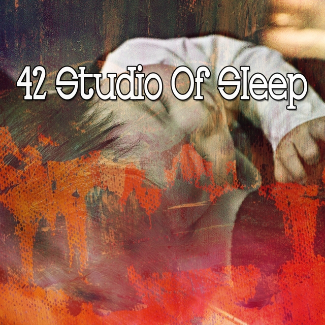 42 Studio of Sleep