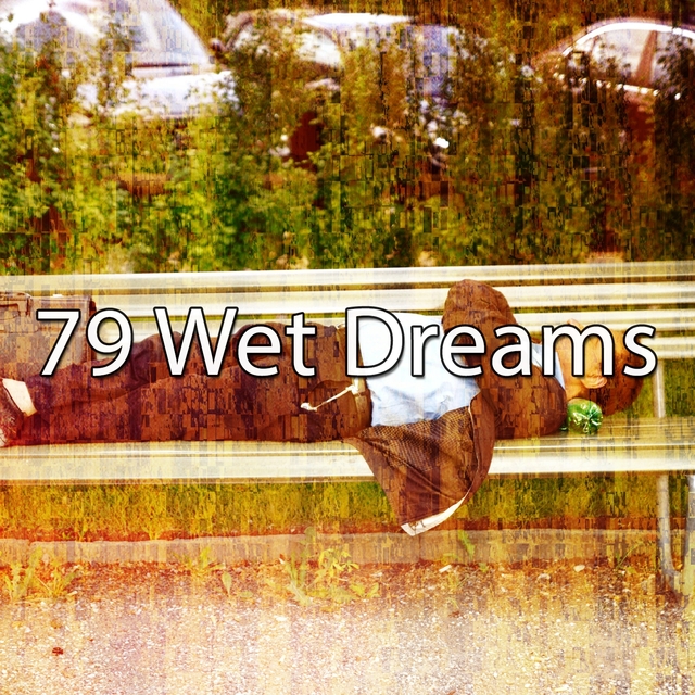 Couverture de 79 Wet Dreams