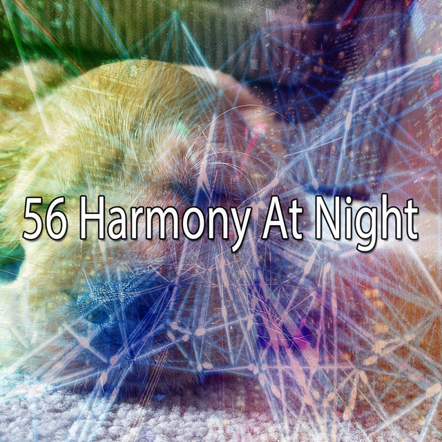 56 Harmony at Night