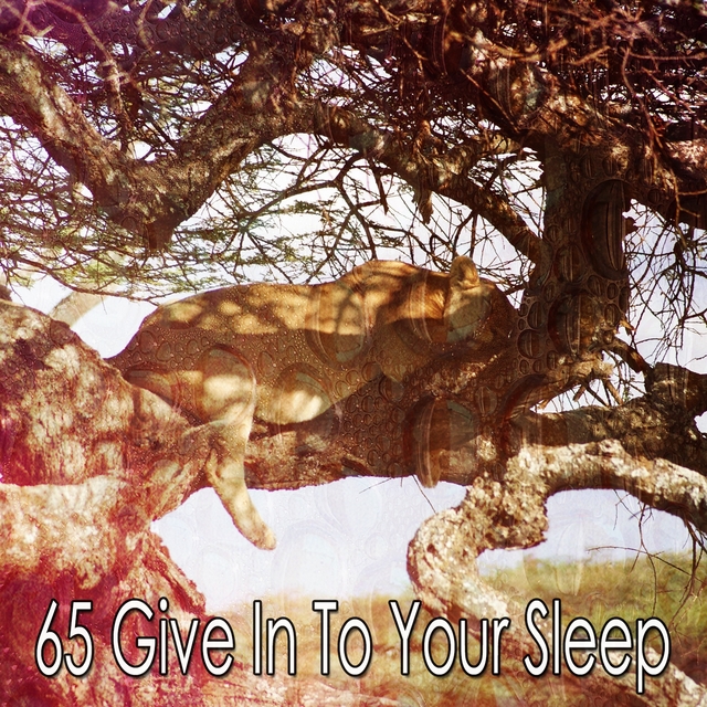 65 Give In to Your Sleep