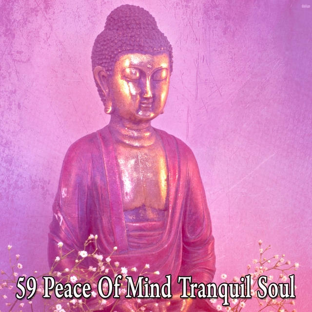 59 Peace of Mind Tranquil Soul