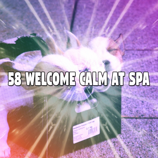 Couverture de 58 Welcome Calm at Spa