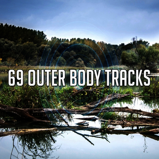 Couverture de 69 Outer Body Tracks