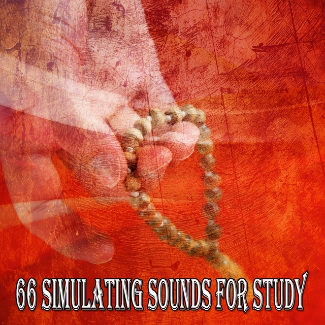 Couverture de 66 Simulating Sounds for Study