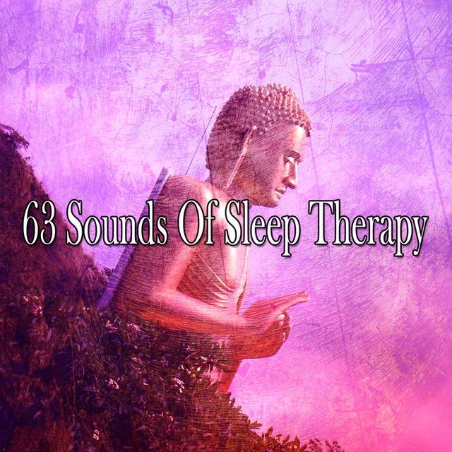 Couverture de 63 Sounds of Sleep Therapy