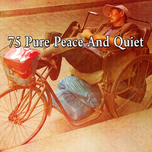 75 Pure Peace and Quiet