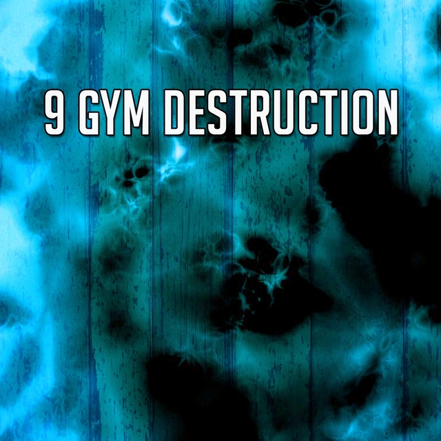 Couverture de 9 Gym Destruction