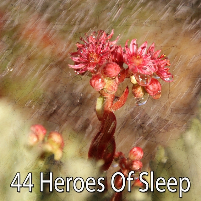 Couverture de 44 Heroes of Sleep