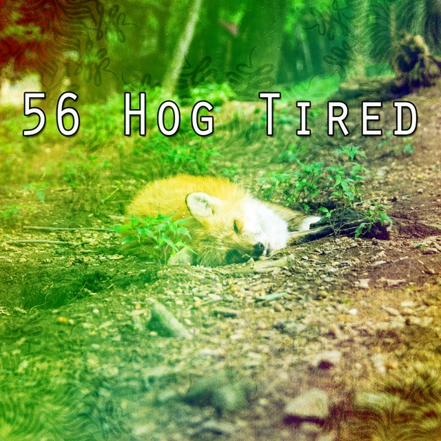 Couverture de 56 Hog Tired