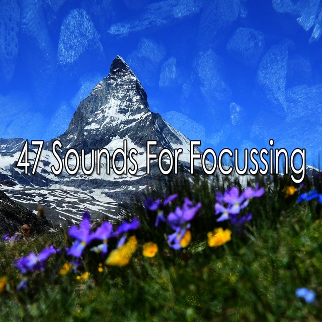 47 Sounds for Focussing