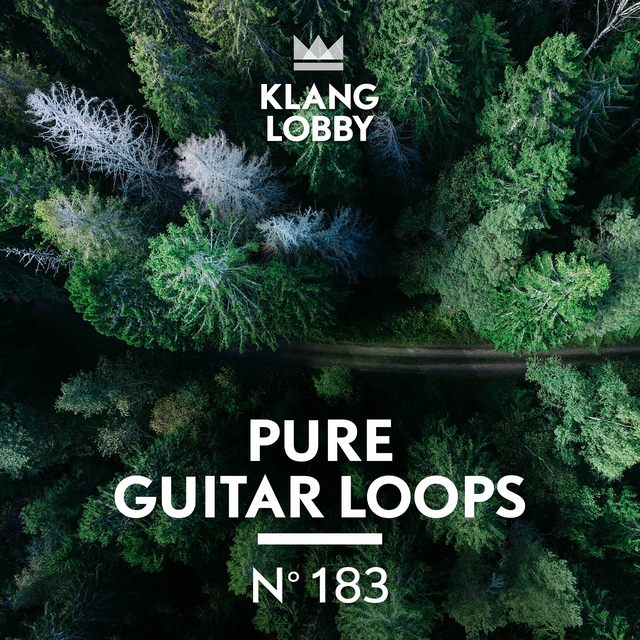 Pure Guitar Loops