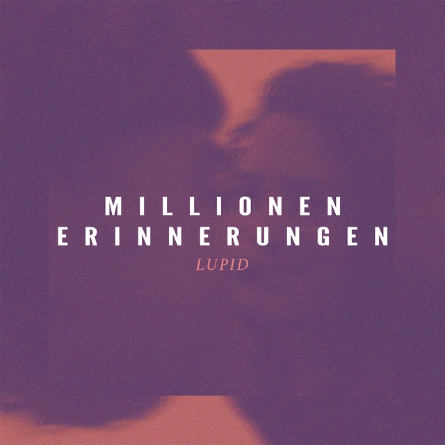 Couverture de Millionen Erinnerungen